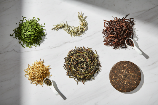 Six types of Chinese tea leaves arranged on white marble surface